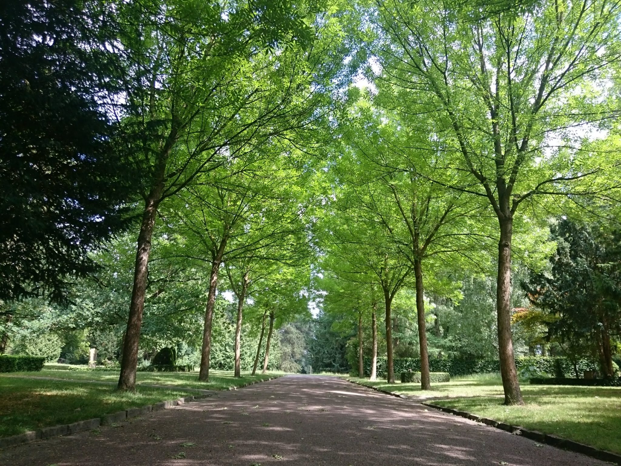 Bispebjerg kirkegård