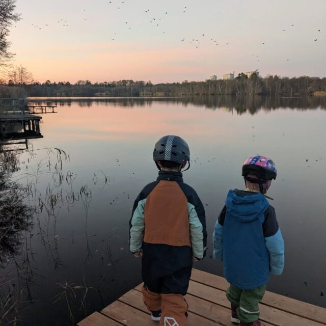 Vi stod derhjemme med 3 sakraler, som slet ikke havde været ude og krudte af i dag.. Frustrationerne var begyndt at vokse, så jeg besluttede, at vi lige måtte ud på en aftentur ☺️ det var godt givet ud. Humøret var langt bedre, da vi kom tilbage 🙏 

Man skal ikke undervurdere, at Generators og MG'ere skal bruge noget af al den energi de har til rådighed hver dag, for at trives 💛